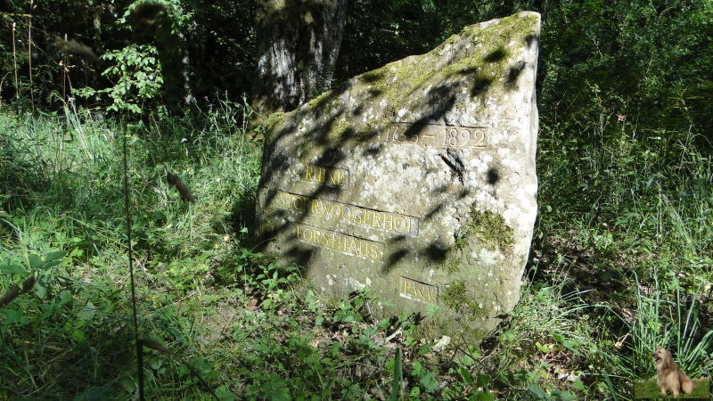 Ritterstein Nr. 210-9b Ruine Storrwoogerhof - Forsthaus.JPG - Ritterstein Nr.210 Ruine Storrwoogerhof - Forsthaus